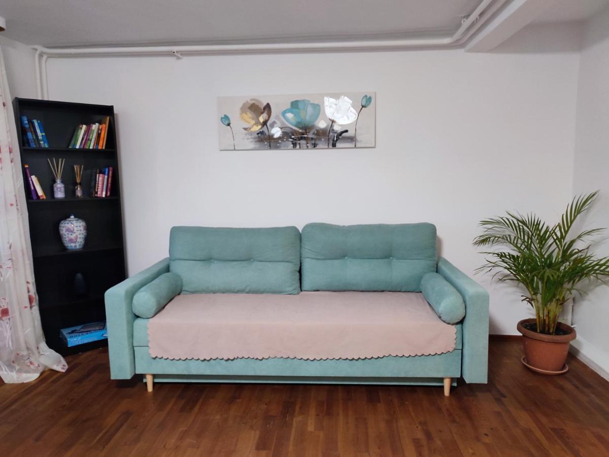 Gemuetliche Zwei-Zimmer-Wohnung Am Regnitzufer Bamberg Extérieur photo